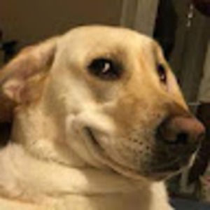 Meet your Posher, Izzabella